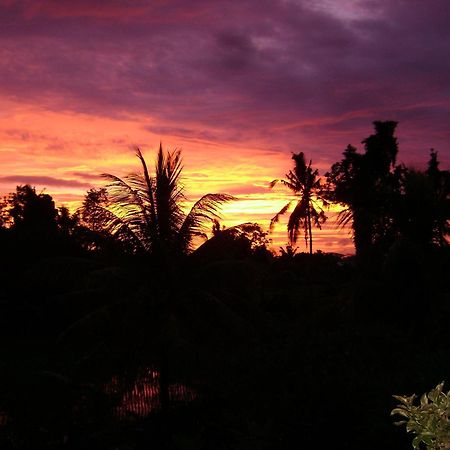 Kun - Kun Guest House Ubud Kültér fotó