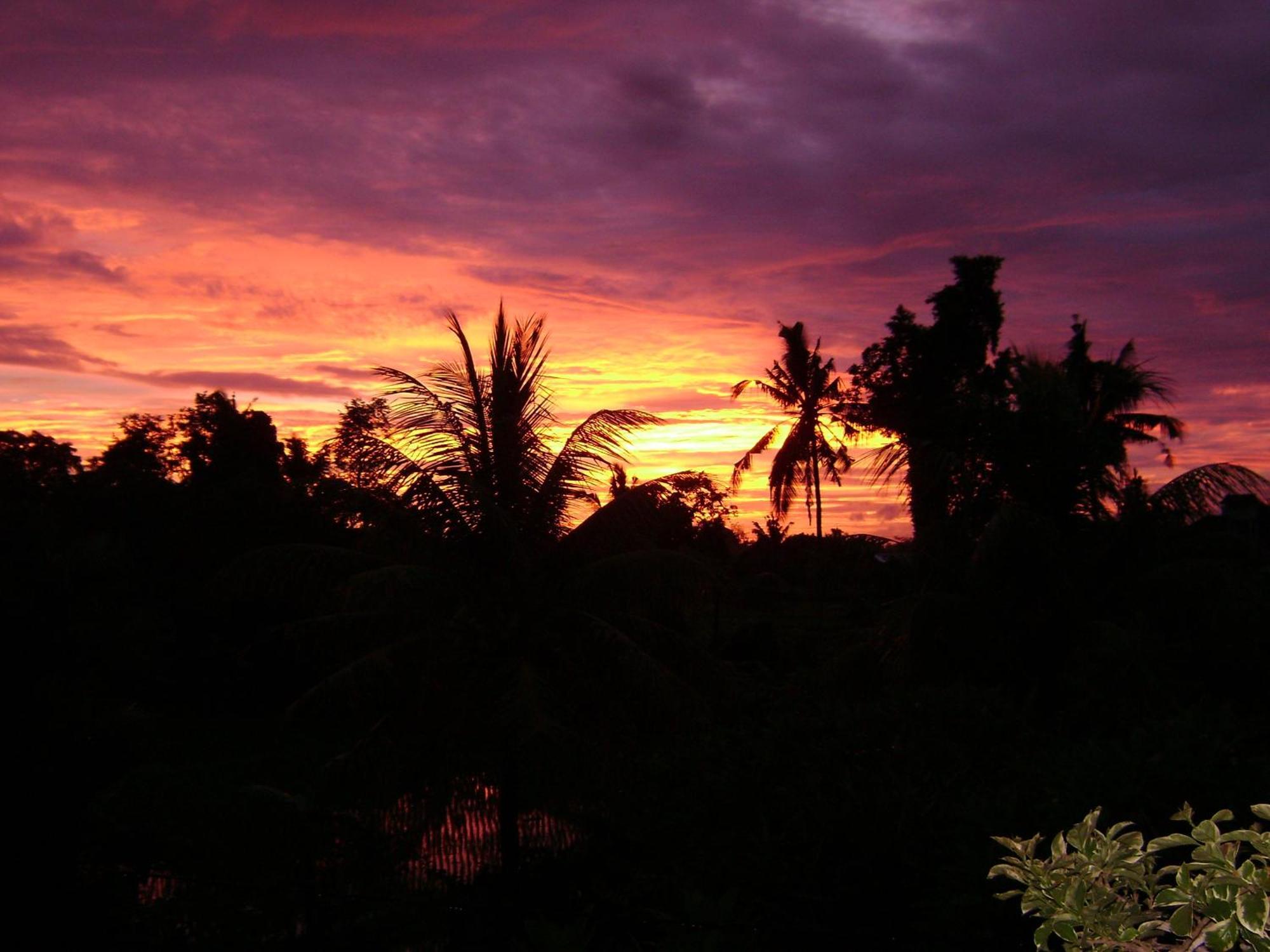 Kun - Kun Guest House Ubud Kültér fotó