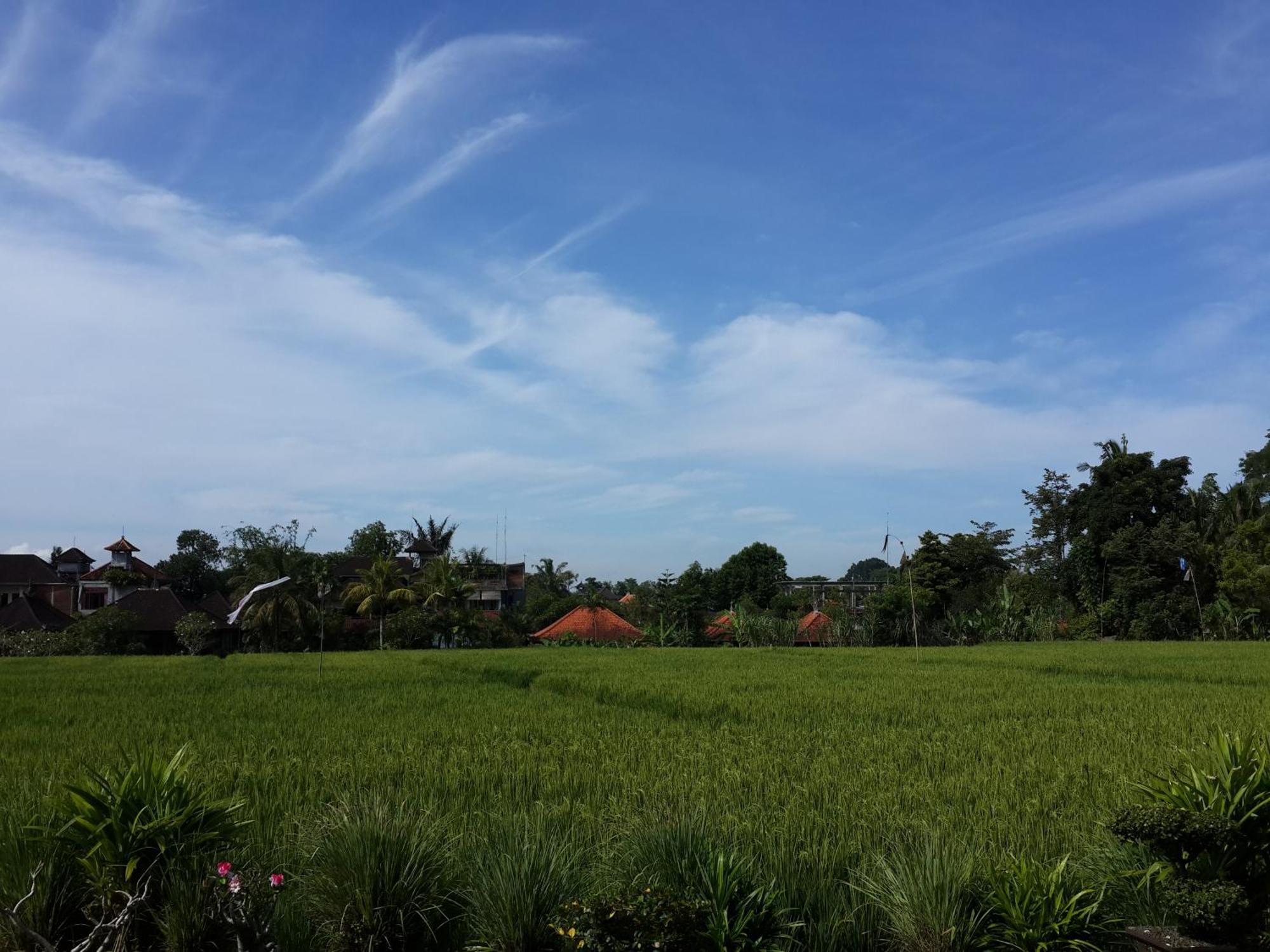 Kun - Kun Guest House Ubud Kültér fotó